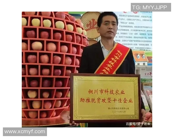 姚明铜川新区发展新机遇助力地方经济腾飞与文化交流