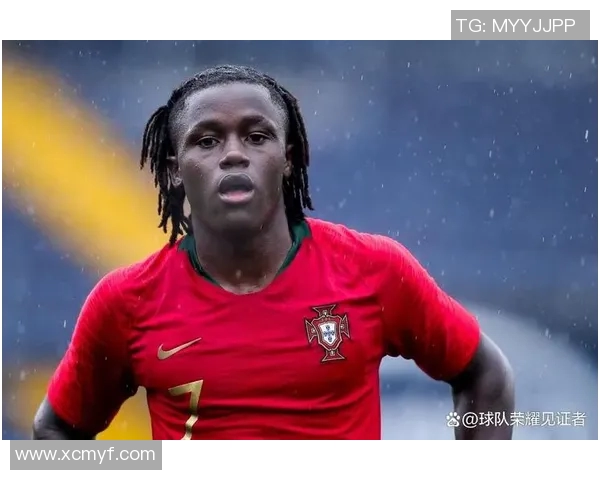 葡萄牙体育明星人气榜单揭晓谁是球迷心中的最佳球员