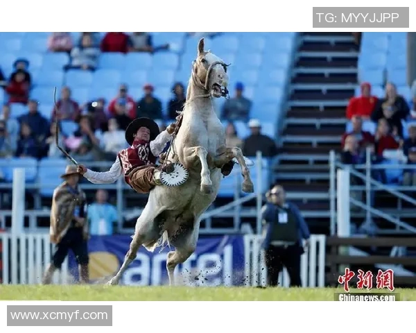 足球场上的骑士传奇带马的足球明星与他们的荣耀之路