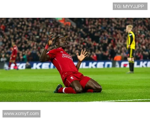 足球明星施丹的经典瞬间与辉煌成就全景展示