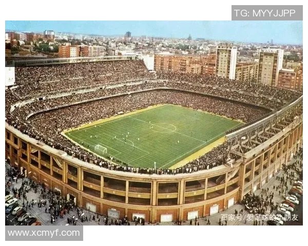 从小球场到世界舞台足球明星的成长与奋斗历程揭秘